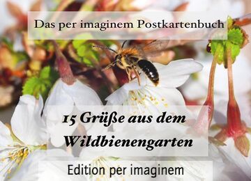 Postkartenbuch: 15 Grüße aus einem Wildbienengarten