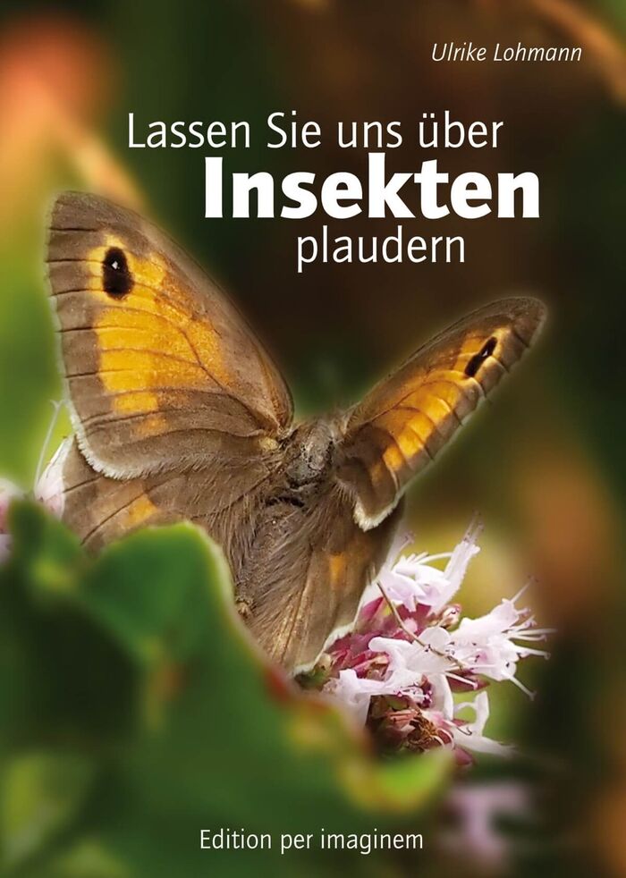 Das Buch: Lassen Sie uns über Insekten plaudern