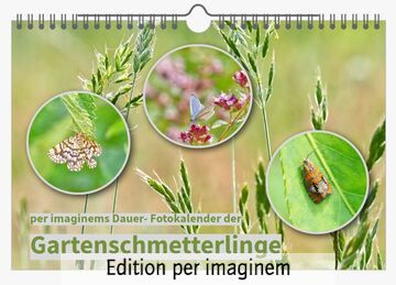 Dauerkalender-Gartenschmetterlinge- aus der Edition per imaginem; Titelblatt