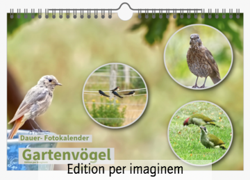 dauer-fotokalender-gartenvoegel-edition-per-imaginem-titelblatt.jpeg